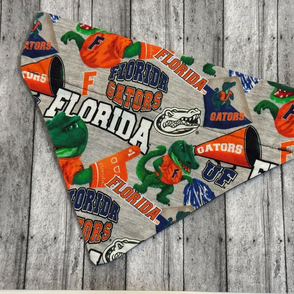 Game Day! Animal Scarf over the collar